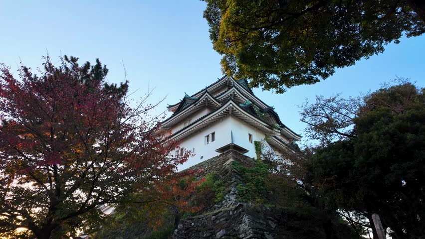 Wakayama Castle in Autumn A Scenic View in Wakayama City