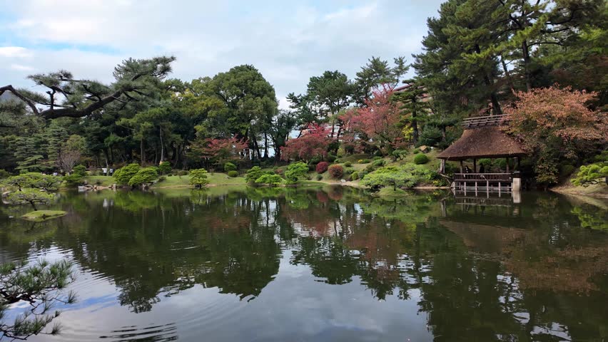 Japanese garden with autumn colors and sculpted trees in November