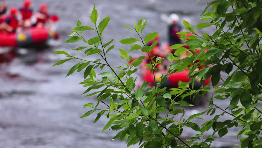 Rafting in whitewater, extreme water sports on water rapids, kayaking and canoeing tour in a mountain river,  water sports team, red and yellow raft boat full of tourists in a summer day, slow motion