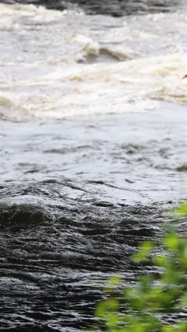 Rafting in whitewater, extreme water sports on water rapids, kayaking and canoeing tour in a mountain river,  water sports team, red and yellow raft boat full of tourists in a summer day, slow motion