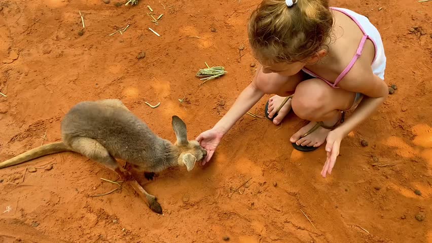 A medium high-angle horizontal shot of a young girl crouching on bright orange sandy desert ground. She is wearing a white tank top with pink trim and sandals, and is extending her right hand towards a small, grey wallaby or young kangaroo lying next to her. The animal has its head lowered, seemingly investigating her hand. Dried grass stalks are scattered on the sand