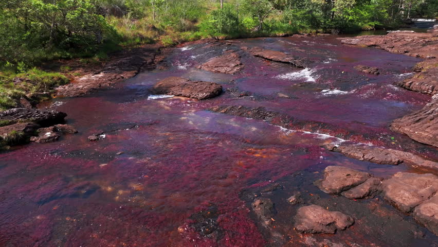 Drone view of Caño Sabana in Colombia shows a colorful river crossing through lush jungle, with striking scenery and rich natural detail from above.