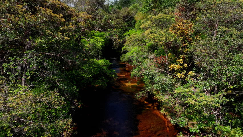 Aerial drone footage of Caño Sabana captures a vivid Colombian river flowing through rainforest, with striking colors and peaceful wilderness scenery.