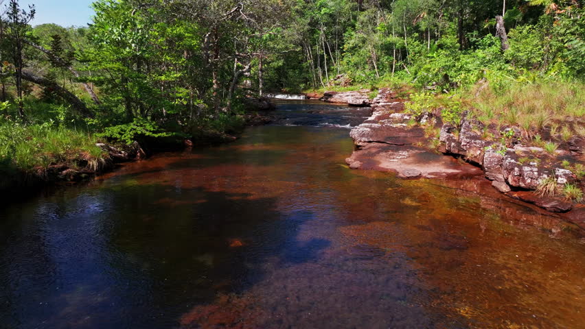 Drone shot of the colorful Caño Sabana river in Guaviare, Colombia, capturing bright aquatic tones, tropical forest, and untouched natural scenery.