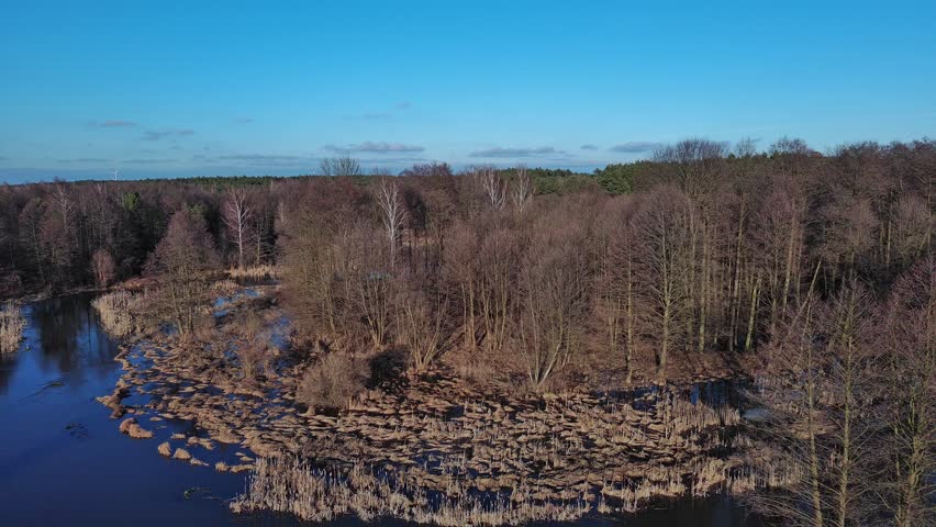 Early spring on a small river, Poland.