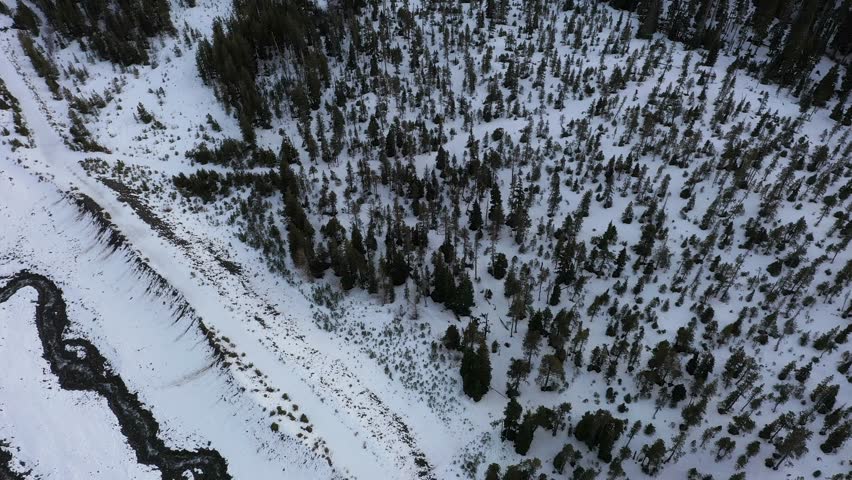 4K aerial drone b roll flying above snowy evergreen forest in the White River basin of Mount Hood National Forest, Oregon, USA during winter. Top down aerial view of scattered alpine trees and snow covered terrain with winding curving river near Mount Hood in the Cascade Range. Scenic Pacific Northwest wilderness landscape captured from the air, ideal for nature themes, travel visuals, environmental content, marketing footage, presentations and background media featuring winter forest scenery in the United States.