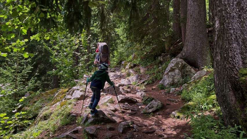 Father hiking with baby in carrier and older son on forest mountain trail between Argentiere and Le Flegere, Mont Blanc region, French Alps, France