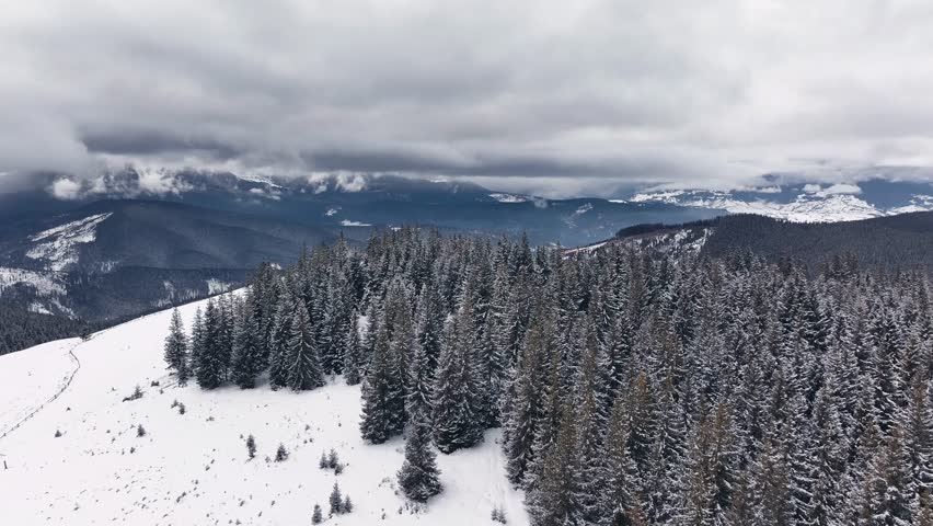 Flying forward over a winter mountain and pine trees covered with snow. Beautiful blue sky with fluffy clouds.