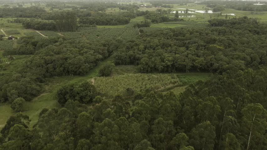 Wide Aerial Drone View of a Lush Green Rural Landscape with Fields and Trees