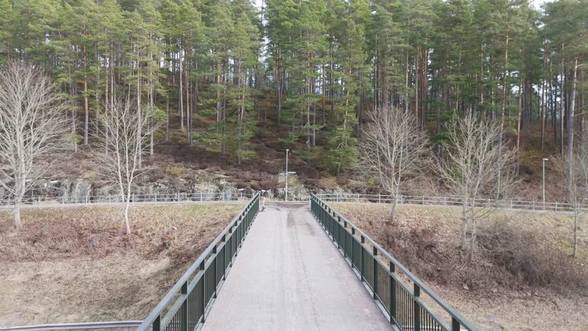 Scenic Aerial View of Forest and Empty Bridge, Top down view of a bridge crossing through a thick green forest canopy with a river flowing below.
