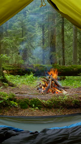 A campfire burning in the woods, photographed from inside a tent a cosy outdoor scene showing the fire and a peaceful woodland campsite, vertical shot