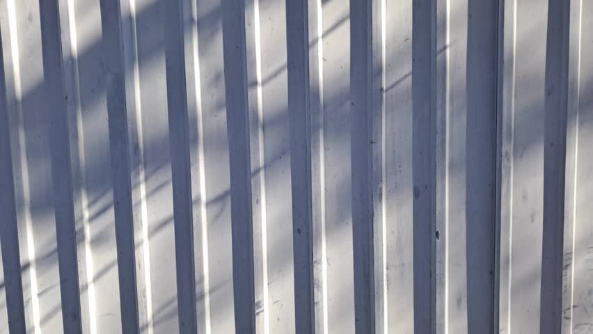 A close-up shot of rhythmic tree branch shadows moving across a white corrugated metal surface during a bright sunny day. Abstract industrial background with natural light and wind motion.