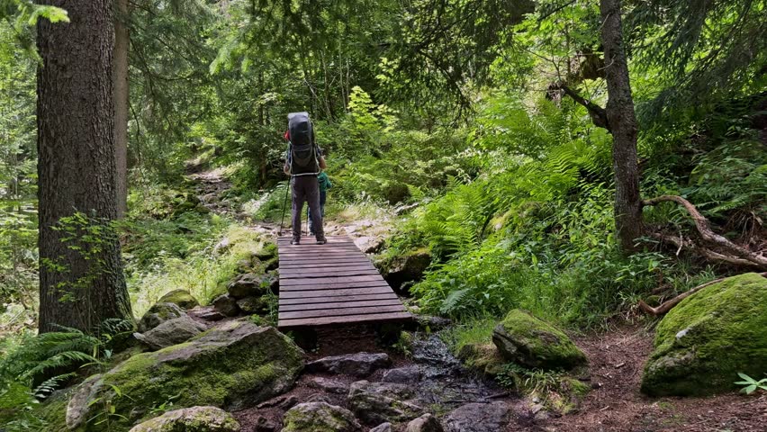POV following father hiking with baby in carrier and son crossing wooden bridge on forest trail in Mont Blanc area, French Alps, France