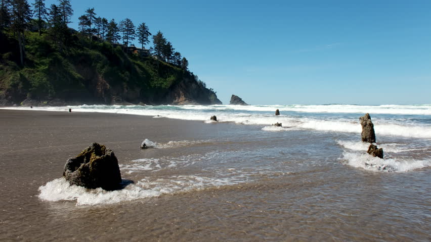 Ancient tree stumps of the Neskowin Ghost Forest emerge from the wet sand along the Oregon coast with waves and coastal cliffs in the background.