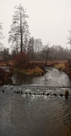 autumn trees without foliage and a river in the autumn after leaf fall, a river and yellow dull plants in late autumn, a gray sky with clouds