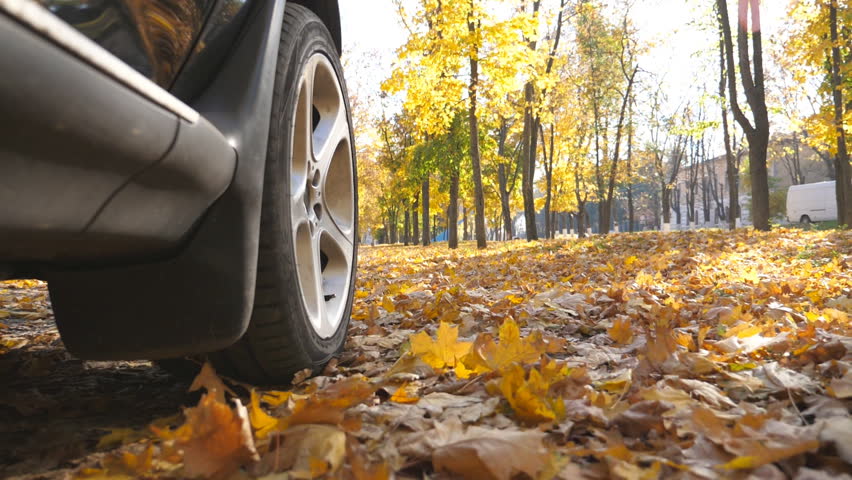 Wheel of powerful car driving on park road over yellow autumn leaves in sunny day. Colorful autumn foliage flies out from under wheel of automobile. SUV crossing through empty road. Slow mo Close up