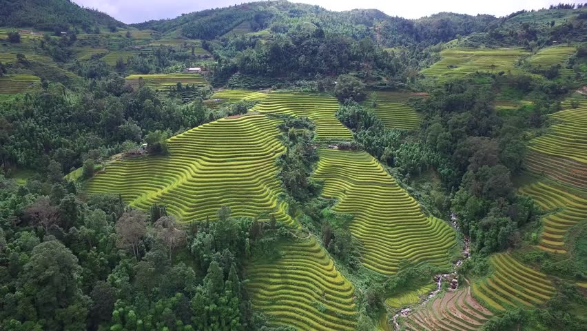 Aerial drone pull back revealing layered rice terraces across green mountain hillsides with forest and rural farmland in Mu Cang Chai Yen Bai Vietnam