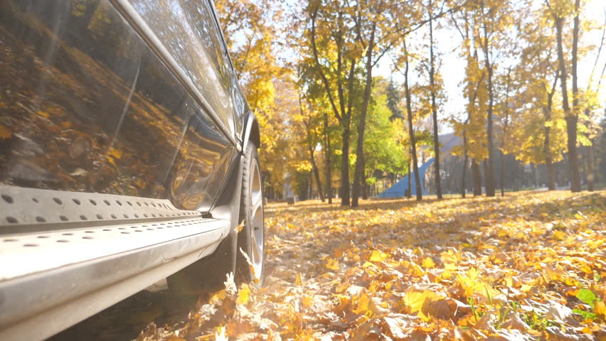 Wheel of powerful car driving on park road over yellow autumnal leaves in sunny day. Colorful autumn foliage flies out from under wheel of automobile. SUV crossing through empty road. Slow motion
