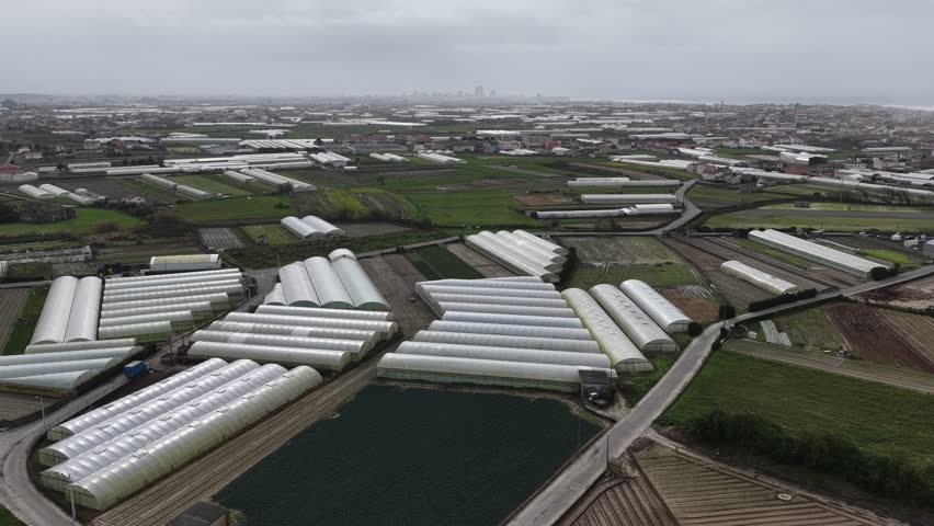 Agriculture area in the iberian peninsula with a lot of greenhouses and diverse vegetable crops. Food production. Food security in European uninon