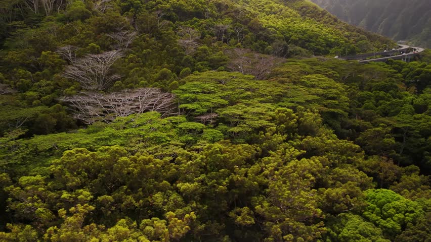 Kamehameha Highway Tunnels Aerial Drone Kaneohe Hawaii