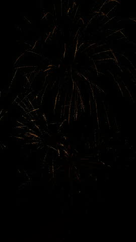 Brilliant golden fireworks bursting and showering sparks against the deep black of the night sky