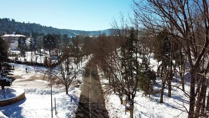 Aerial drone view of a quiet snow covered road surrounded by bare trees and pine forest in Ifrane city in the Middle Atlas Mountains of Morocco during winter.
