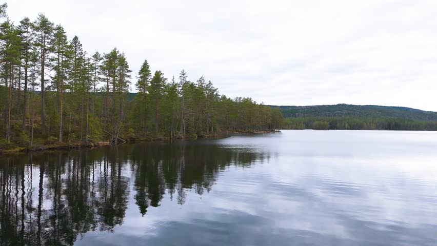 gently rippling gray blue water fills vast lake panorama continuous pine forest lines shoreline norway aerials far drone shore boreal landscape nordic setting