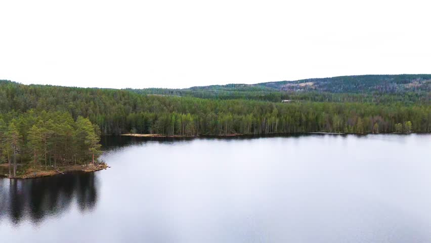 small rocky island sparsely populated trees submerged stones revealed norway aerials forest overhead drone shot sparse boreal landscape