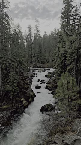 This video shows Benham Falls, a scenic series of rapids on the Deschutes River located between Bend and Sunriver, Oregon. Wind is blowing the trees and the clouds. 
 These falls were formed roughly 6,000 years ago when a lava flow from the eruption of nearby Lava Butte dammed the river. 
  It is the largest waterfall on the upper Deschutes River, featuring a 25-foot drop through a narrow gorge surrounded by pine trees. 
The area is a popular outdoor destination easily accessible via a 1-mile round-trip trail from the Benham Falls East Day Use Area. 