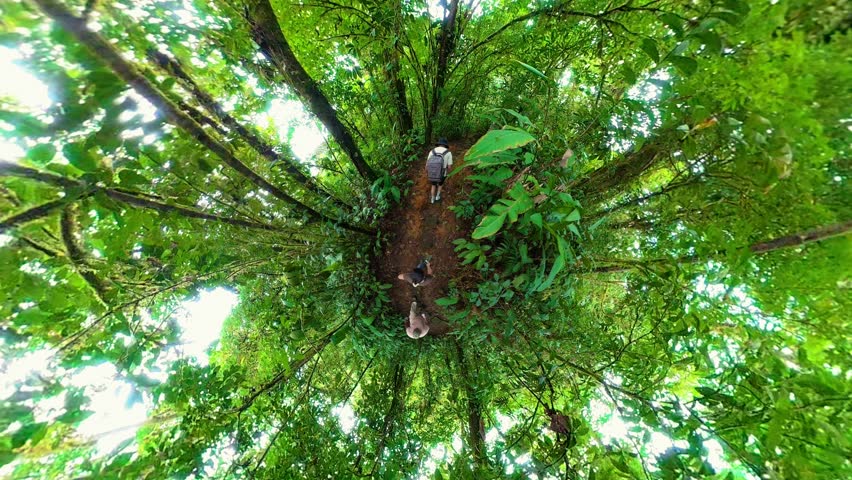 Unique tiny planet perspective following three adventurous friends hiking along a trail through a dense, vibrant green jungle with sunlight filtering through the lush canopy of tropical trees
