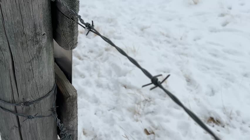 Barbed wire farm fence in winter across snowy rural field with harsh cold countryside landscape