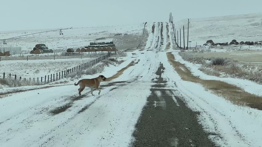 Driving down snowy winter road through rural countryside landscape