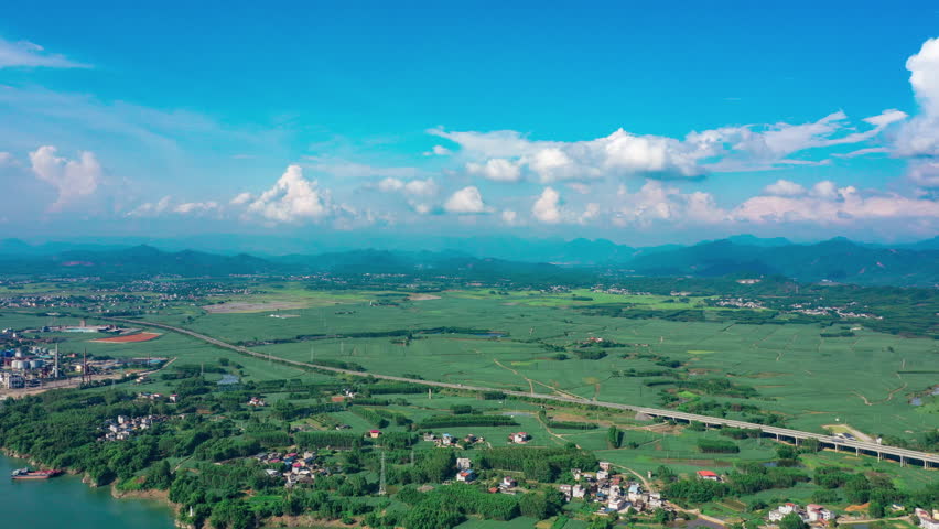 Sugarcane Fields Under Blue Sky and White Clouds