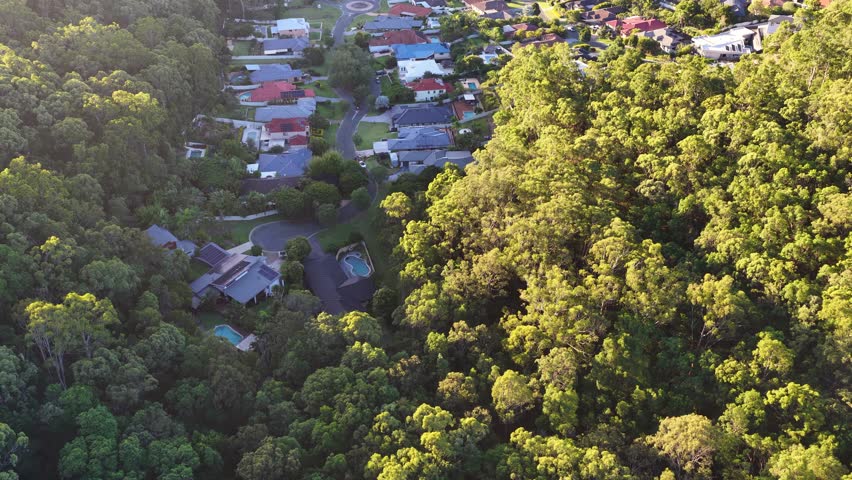 Drone shot reveals a residential neighborhood nestled among lush green trees during golden hour sunlight
