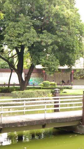 Static wide shot of a wooden footbridge over a pond surrounded by lush green foliage