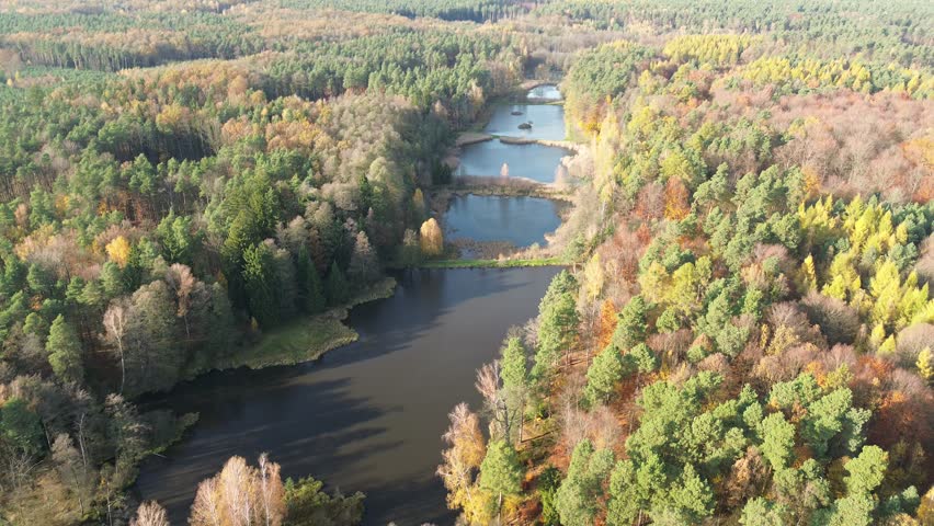 Colorful autumn forest landscape with calm lakes