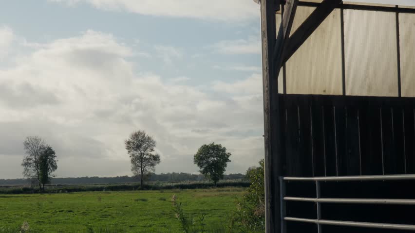 A perspective shot from the interior of a wooden farm structure, overlooking a vast green meadow with trees under a cloudy sky. Rural agricultural landscape.