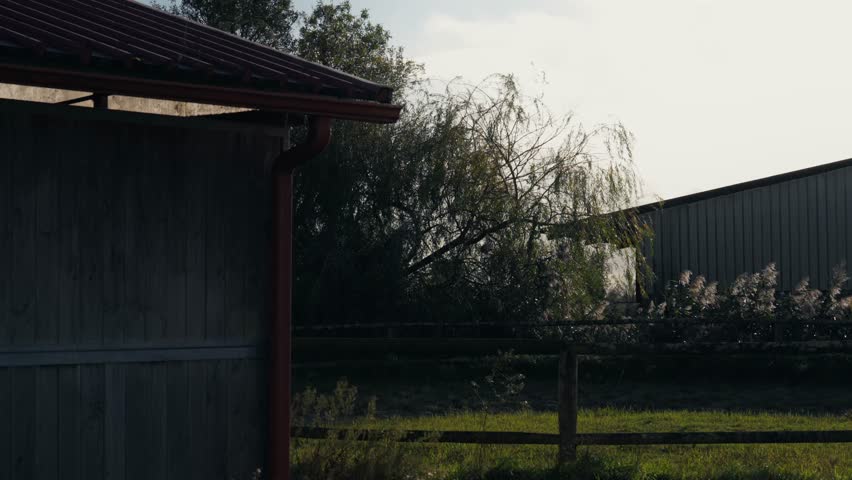 Exterior view of a wooden agricultural shed and a metal barn behind a wooden fence. Cinematic rural setting with trees and green grass under soft daylight.