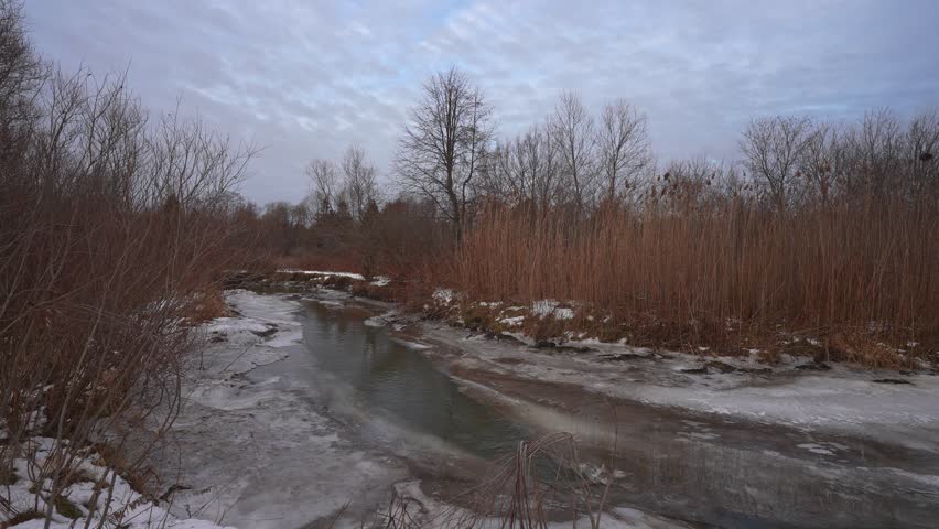 Bowmanville Creek in Bowmanville, Ontario, Canada Flowing Gently Through a Quiet Winter Forest