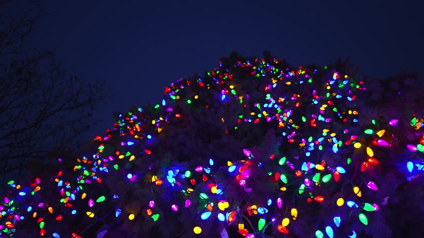 Close Up of Colorful Christmas Lights on a Tree at Night