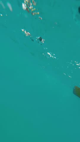 Action camera dives into water waves of blue sea, shoot man on paddleboard. Sup board. Travel vacation summer holiday. Vertical shot