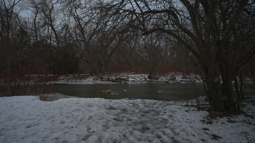 Bowmanville Creek Flowing Through a Winter Forest in Bowmanville, Ontario, Canada Slow Dolly Shot