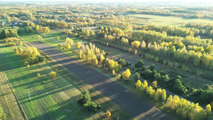 Green meadow and yellow trees from above