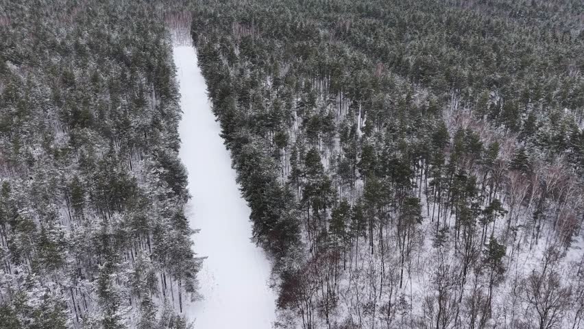 Winter season makes the trees look beautiful