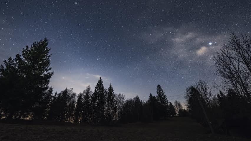 Peaceful Starry Night Sky with Moonlit Clouds Over Quiet Forest, Astronomy Timelapse