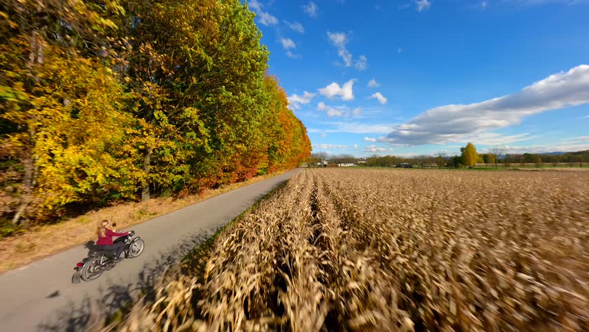 Cinematic FPV drone shot of woman riding motorcycle along country road under vibrant golden autumn trees. Warm light, cozy colors, and peaceful travel adventure mood.