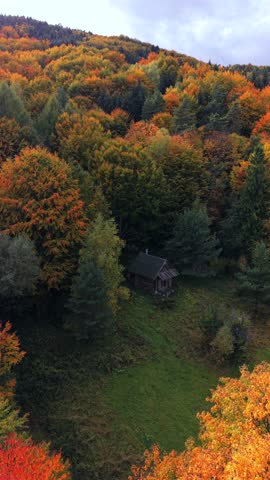 Aerial view of small wooden cabin surrounded by vibrant autumn forest. Peaceful fall mountain landscape with colorful foliage, cozy atmosphere, and scenic natural beauty.