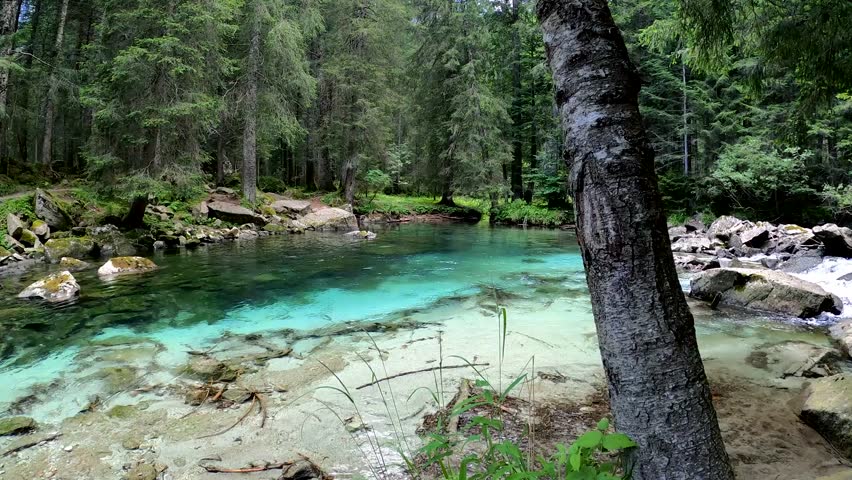 A serene natural landscape featuring crystal clear turquoise water flowing gently through a vibrant green forest, with rocks and trees lining the banks.