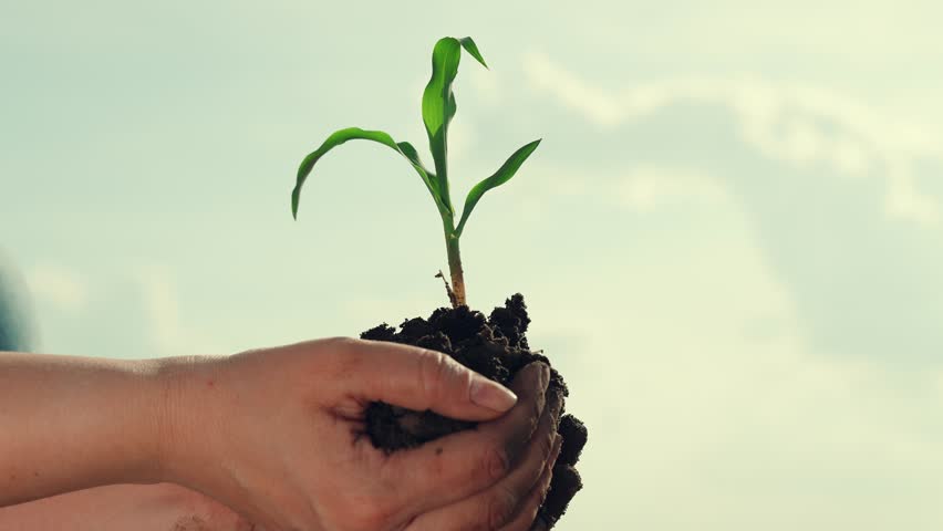 Life in your hands. Farmer