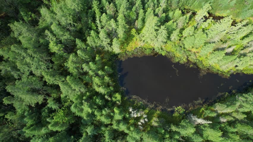 Aerial view of Eagle River Wisconsin in the Northwoods during summer. Bird